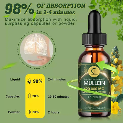 Mullein Leaf & Chlorophyll Extract Drop for Lungs - Affordable Essentials 